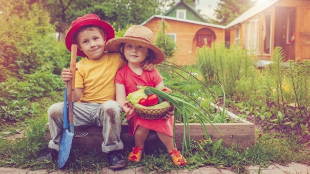 10个简单的方法为你的花园准备冬天